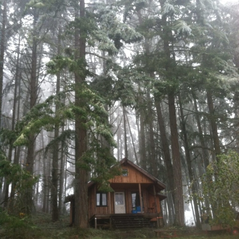 Music Studio.  Framing, siding, trim, decking all milled onsite.