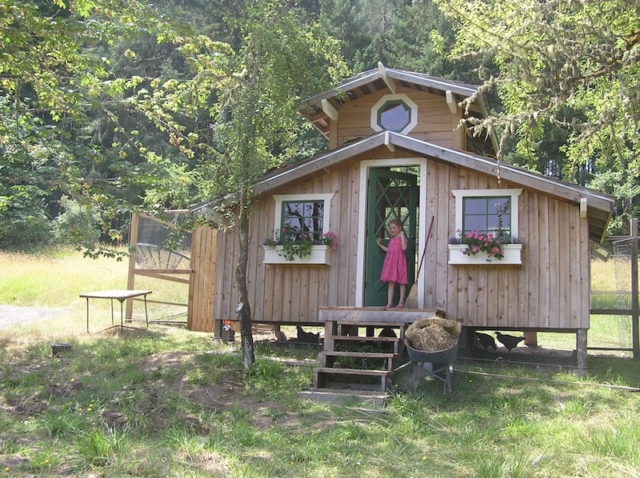 Chicken coop sided with incense cedar, porch and steps milled from a Giant Sequoia