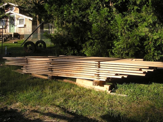 5/4 planks from a Big Leaf maple on River Loop #2