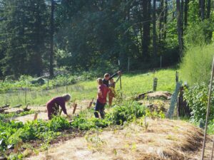 working together in the garden